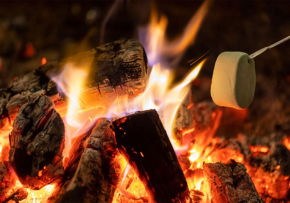 Roasted Marshmallows